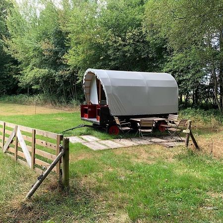 Huifkar In Landelijke Omgeving De Mersken 9 Ureterp Εξωτερικό φωτογραφία